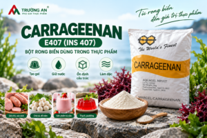 Carrageenan E407 – bột rong biển dùng trong thực phẩm